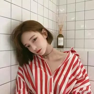 极地大冒险