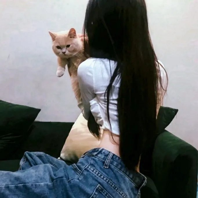 隐藏的面孔